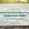 tư duy phát triển