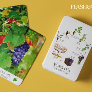 Set Rau Củ Quả