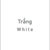 flashcard color White