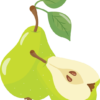 flashcard fruit vegetable Pear