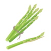 flashcard fruit vegetable asparagus
