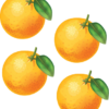 flashcard number Oranges