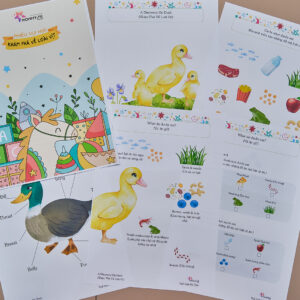 Tải về (FILE MỀM) Phiếu bài tập (Worksheet) Khám phá về loài vịt | Khoa học cho bé độ tuổi 3-7 | Download PDF | tô màu 2 DSCF4623