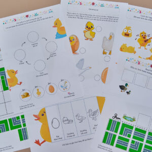 Tải về (FILE MỀM) Phiếu bài tập (Worksheet) Khám phá về loài vịt | Khoa học cho bé độ tuổi 3-7 | Download PDF | tô màu 3 DSCF4624