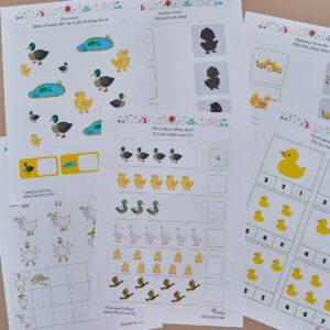 Tải về (FILE MỀM) Phiếu bài tập (Worksheet) Khám phá về loài vịt | Khoa học cho bé độ tuổi 3-7 | Download PDF | tô màu 4 DSCF4625