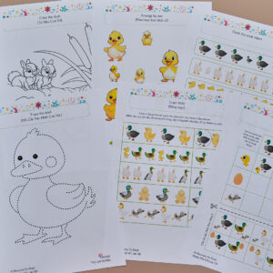 Tải về (FILE MỀM) Phiếu bài tập (Worksheet) Khám phá về loài vịt | Khoa học cho bé độ tuổi 3-7 | Download PDF | tô màu 5 DSCF4626