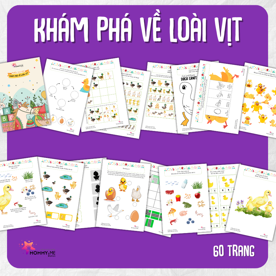 khám phá về loài vịt kham pha ve loai vit