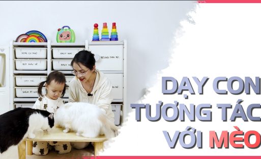 Dạy con tương tác với mèo
