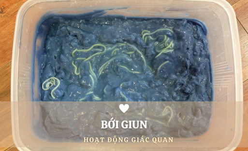 HOẠT ĐỘNG GIÁC QUAN_ BỚI GIUN