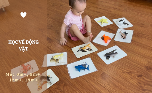 HỌC_VỀ_ĐỘNG_VẬT[1]