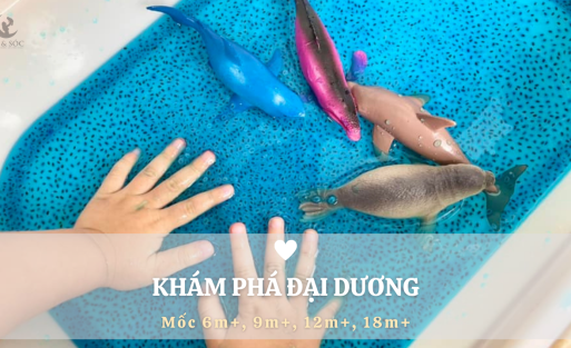 KHÁM PHÁ ĐẠI DƯƠNG