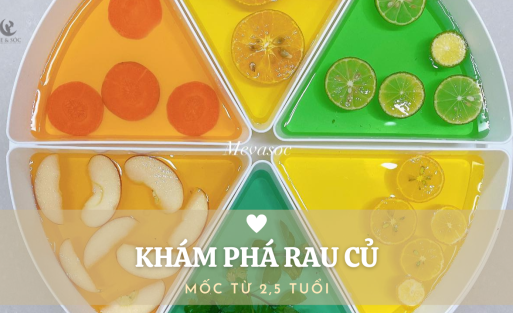 KHÁM PHÁ RAU CỦ