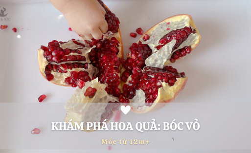 KHÁM_PHÁ_HOA_QUẢ__BÓC_VỎ[1]