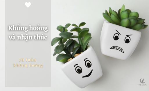 Khủng hoảng và nhận thức1