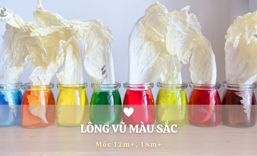 LÔNG_VŨ_MÀU_SẮC[1]