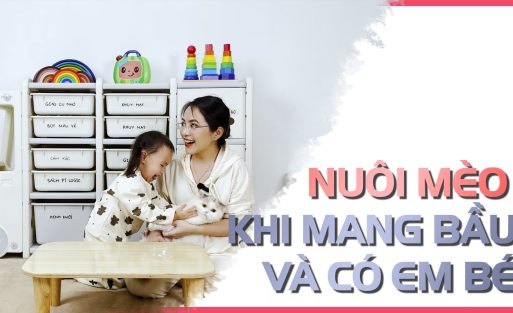 Nuôi mèo khi mang bầu và có em bé