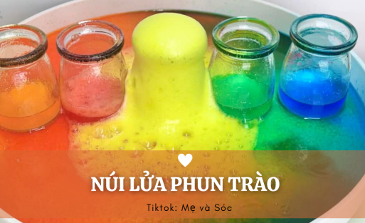 Phòng chơi của Sóc nhỏ (1)