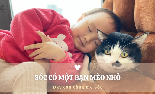 SÓC CÓ MỘT BẠN MÈO NHỎ