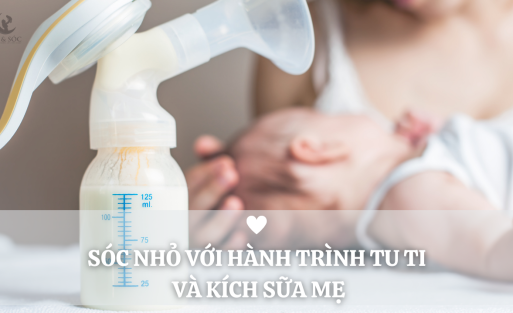 SÓC NHỎ VỚI HÀNH TRÌNH TU TI VÀ KÍCH SỮA MẸ