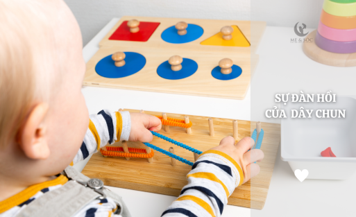 SỰ ĐÀN HỒI CỦA DÂY CHUN (3)