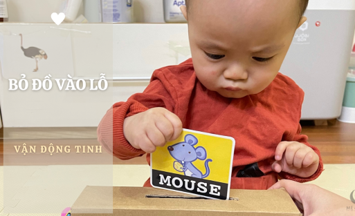 VẬN_ĐỘNG_TINH__BỎ_ĐỒ_VÀO_LỖ[1]